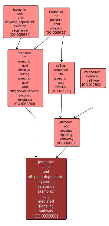 GO:0009868 - jasmonic acid and ethylene-dependent systemic resistance, jasmonic acid mediated signaling pathway (interactive image map)