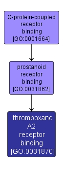 GO:0031870 - thromboxane A2 receptor binding (interactive image map)