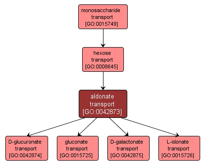 GO:0042873 - aldonate transport (interactive image map)