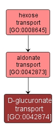 GO:0042874 - D-glucuronate transport (interactive image map)
