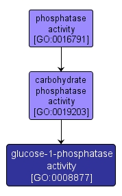 GO:0008877 - glucose-1-phosphatase activity (interactive image map)