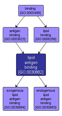 GO:0030882 - lipid antigen binding (interactive image map)