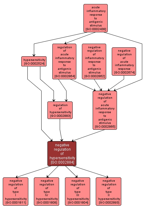 GO:0002884 - negative regulation of hypersensitivity (interactive image map)