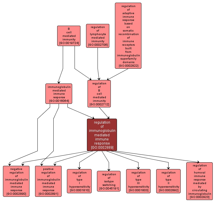 GO:0002889 - regulation of immunoglobulin mediated immune response (interactive image map)