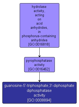GO:0008894 - guanosine-5'-triphosphate,3'-diphosphate diphosphatase activity (interactive image map)