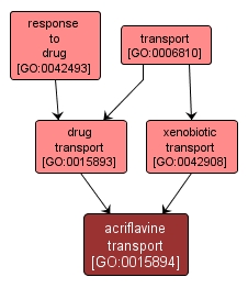 GO:0015894 - acriflavine transport (interactive image map)