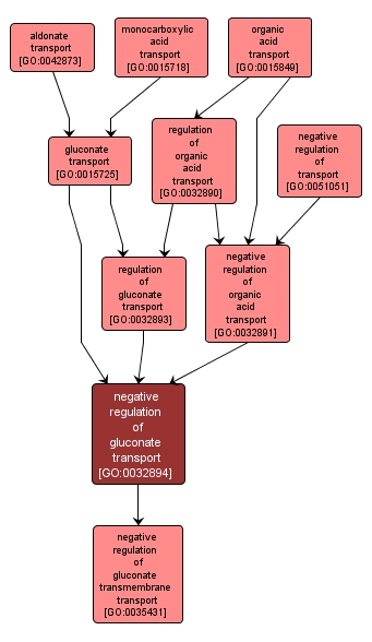 GO:0032894 - negative regulation of gluconate transport (interactive image map)