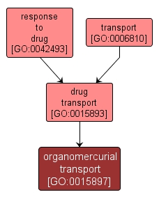 GO:0015897 - organomercurial transport (interactive image map)