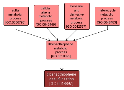 GO:0018897 - dibenzothiophene desulfurization (interactive image map)