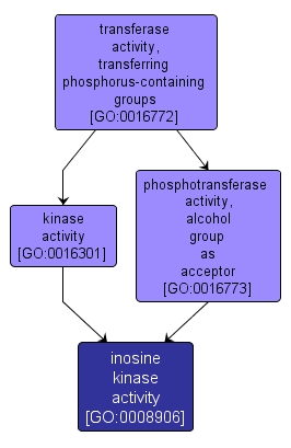 GO:0008906 - inosine kinase activity (interactive image map)