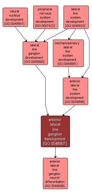GO:0048907 - anterior lateral line ganglion development (interactive image map)
