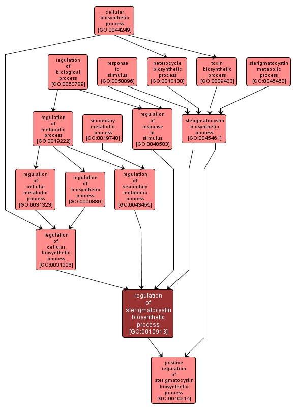 GO:0010913 - regulation of sterigmatocystin biosynthetic process (interactive image map)