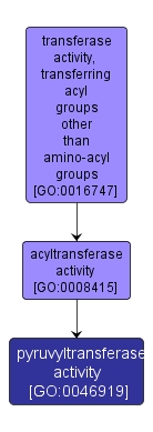 GO:0046919 - pyruvyltransferase activity (interactive image map)