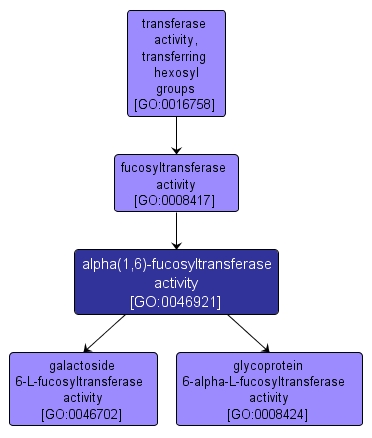 GO:0046921 - alpha(1,6)-fucosyltransferase activity (interactive image map)