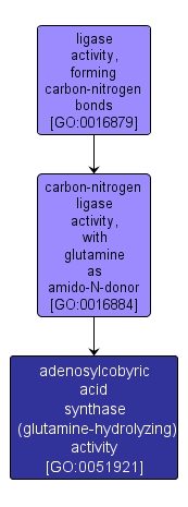 GO:0051921 - adenosylcobyric acid synthase (glutamine-hydrolyzing) activity (interactive image map)