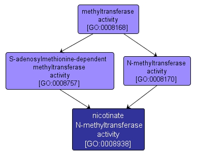 GO:0008938 - nicotinate N-methyltransferase activity (interactive image map)