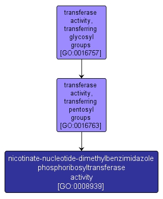 GO:0008939 - nicotinate-nucleotide-dimethylbenzimidazole phosphoribosyltransferase activity (interactive image map)