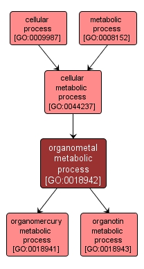 GO:0018942 - organometal metabolic process (interactive image map)