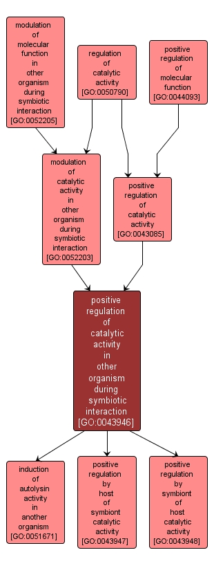 GO:0043946 - positive regulation of catalytic activity in other organism during symbiotic interaction (interactive image map)