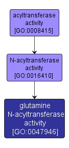 GO:0047946 - glutamine N-acyltransferase activity (interactive image map)