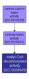 GO:0008949 - oxalyl-CoA decarboxylase activity (interactive image map)