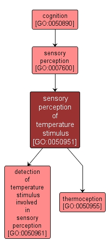 GO:0050951 - sensory perception of temperature stimulus (interactive image map)