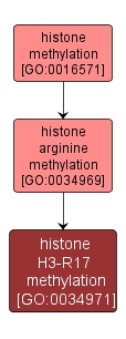 GO:0034971 - histone H3-R17 methylation (interactive image map)