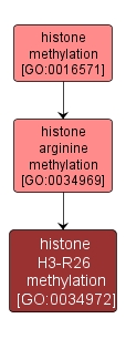 GO:0034972 - histone H3-R26 methylation (interactive image map)