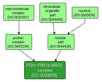 GO:0034978 - PDX1-PBX1b-MRG1 complex (interactive image map)