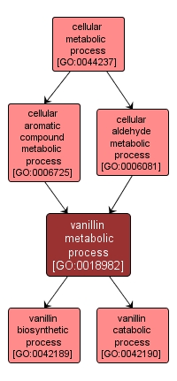 GO:0018982 - vanillin metabolic process (interactive image map)