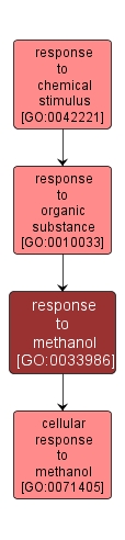 GO:0033986 - response to methanol (interactive image map)