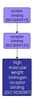 GO:0030987 - high molecular weight kininogen receptor binding (interactive image map)